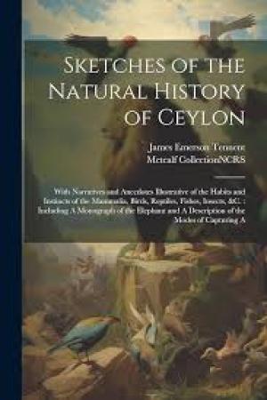 Sketches of the Natural History of Ceylon